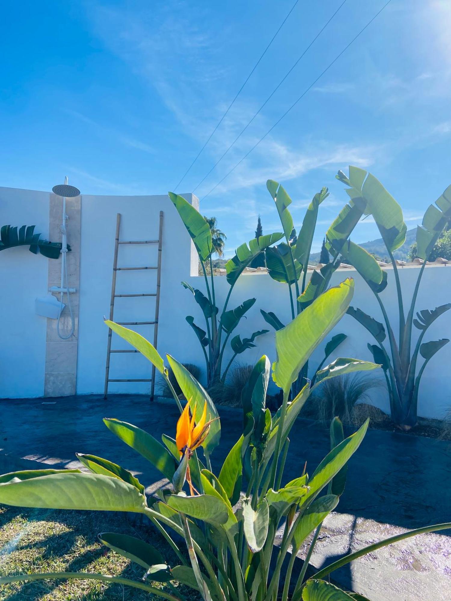 فيلا Casa Avellana دينايا المظهر الخارجي الصورة